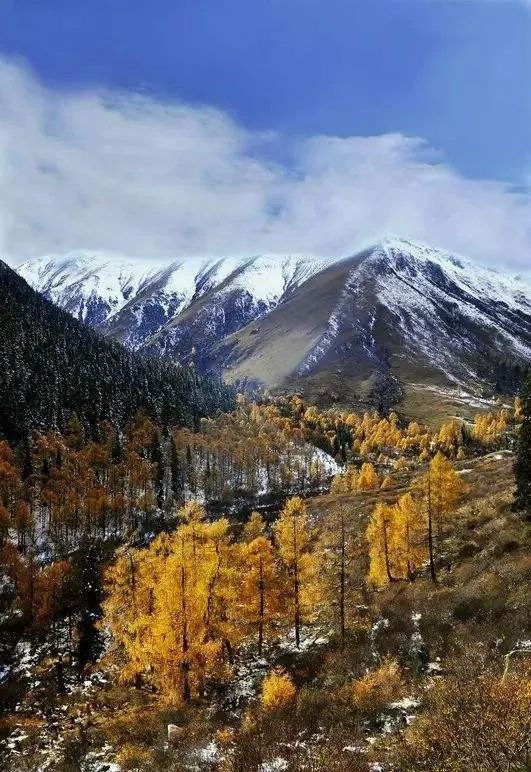 秋天的川西彩林,川西彩林最佳观赏地点