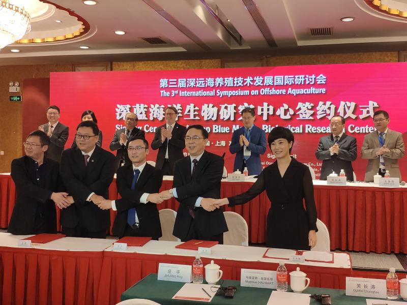 东海大黄鱼20年不成渔讯,但黄鱼现在住深海“别墅”跟挪威三文鱼相同待遇