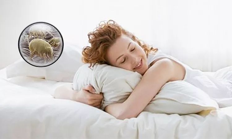 除螨杀菌喷雾好物推荐,家用除螨喷雾好物推荐