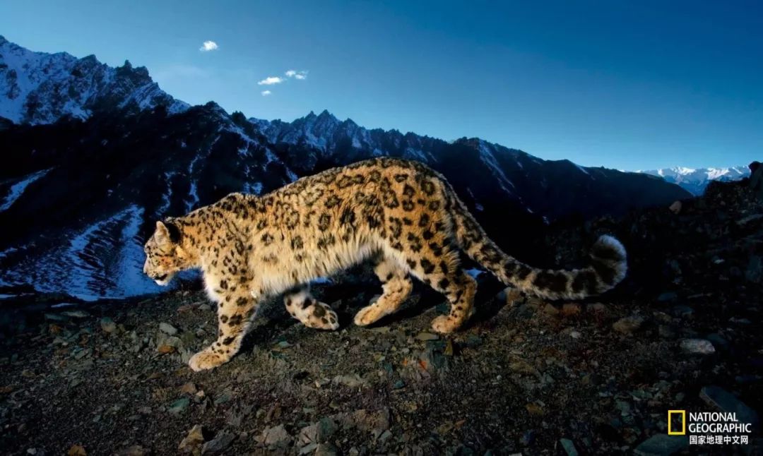 记住它们现在的模样,记住这些永不过期的食品