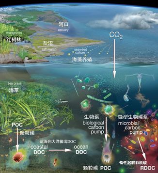 焦念志院士最新消息,焦念志