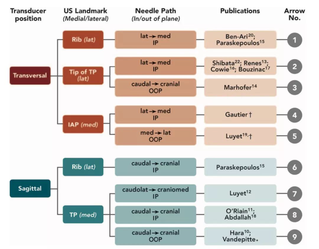 胸椎旁神经阻滞时需要穿过的韧带,胸椎旁神经阻滞超声探头位置