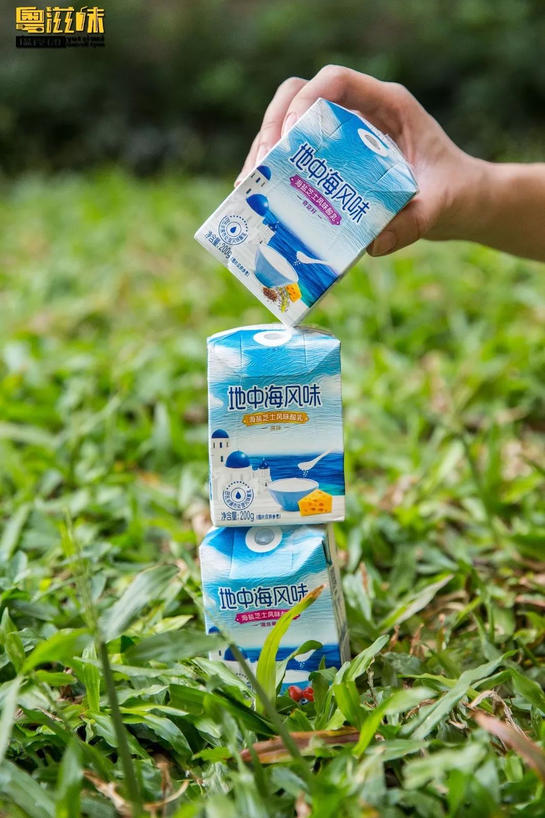 抢占“鲜”机！这个广东人爱了63年的燕塘牛奶，终于要登陆澳门了