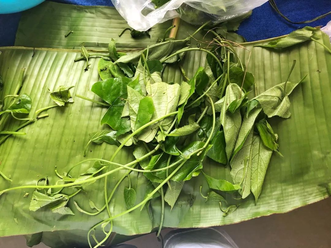 西双版纳傣族赶街视频,勐腊县勐仑镇赶街