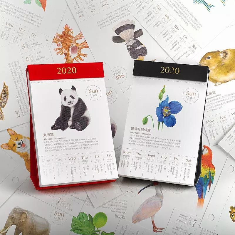 小小世界冠军,小小世界摄影奖