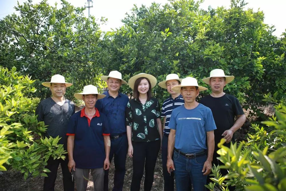 重庆乡村振兴大赛,重庆乡村振兴创业大赛