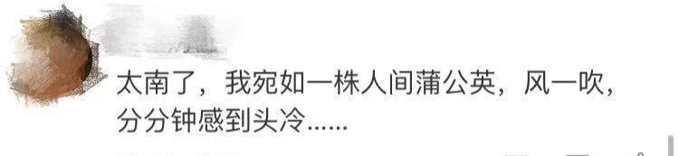 一根头发值25块,一根头发价值多少钱