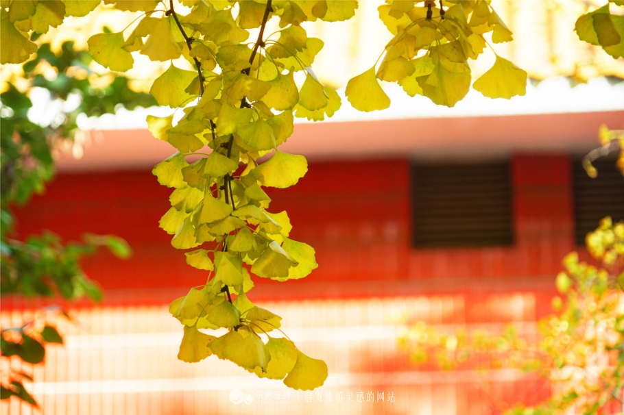 北京韩村河旅游景村,韩村河风景区