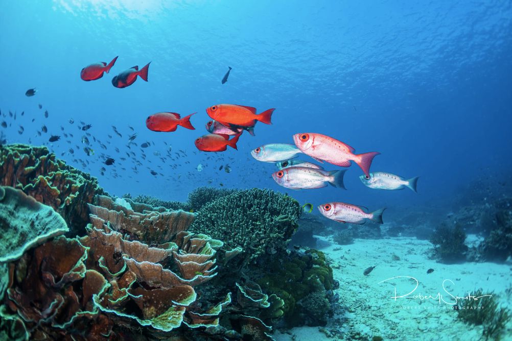 秒杀马代的绝美海岛,海南媲美马代的海岛