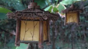 当代“鲁班”，63岁中国木匠在YouTube获千万赞，成中国“网红”，徒手造神话