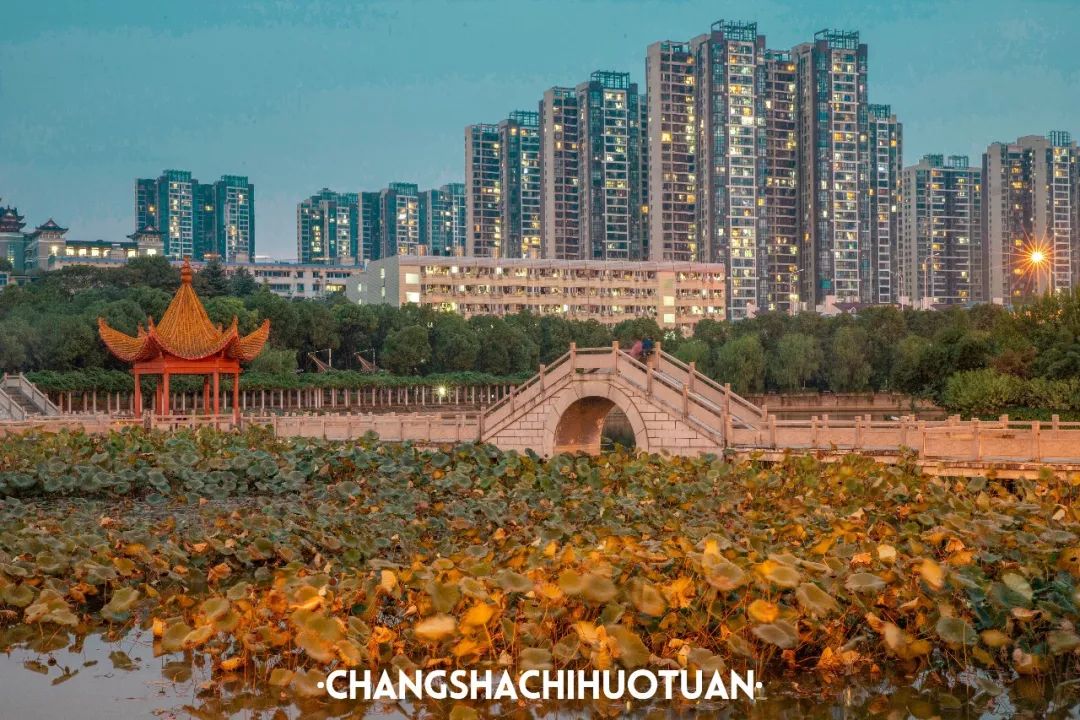 闀挎矙姘戞斂瀛︽牎瀹樼綉,闀挎矙姘戞斂瀛﹂櫌鐢熸椿