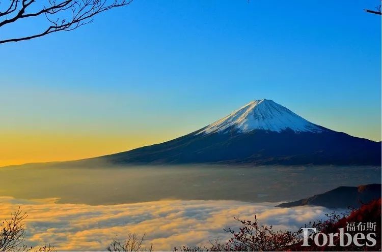 福布斯度假指南,福布斯打卡