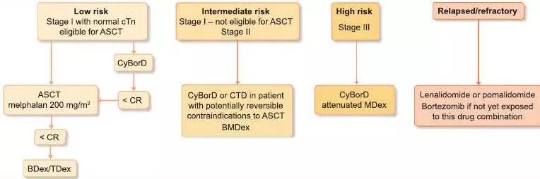 轻链淀粉样变最新治疗方案,al淀粉样变性的后期表现