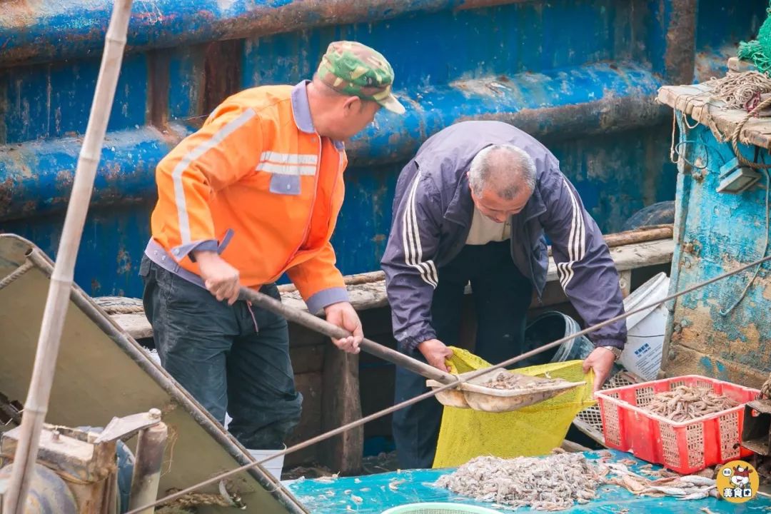 小港码头有蛏子吗,小港码头吃海鲜俱乐部电话