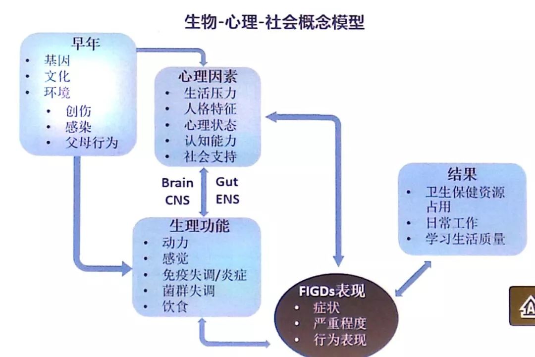 小孩反复腹痛又查不出原因,孩子反复肚子疼应该查什么