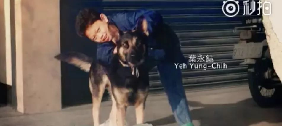 易烊千玺周冬雨少年的你电影解说,少年的你遇到易烊千玺