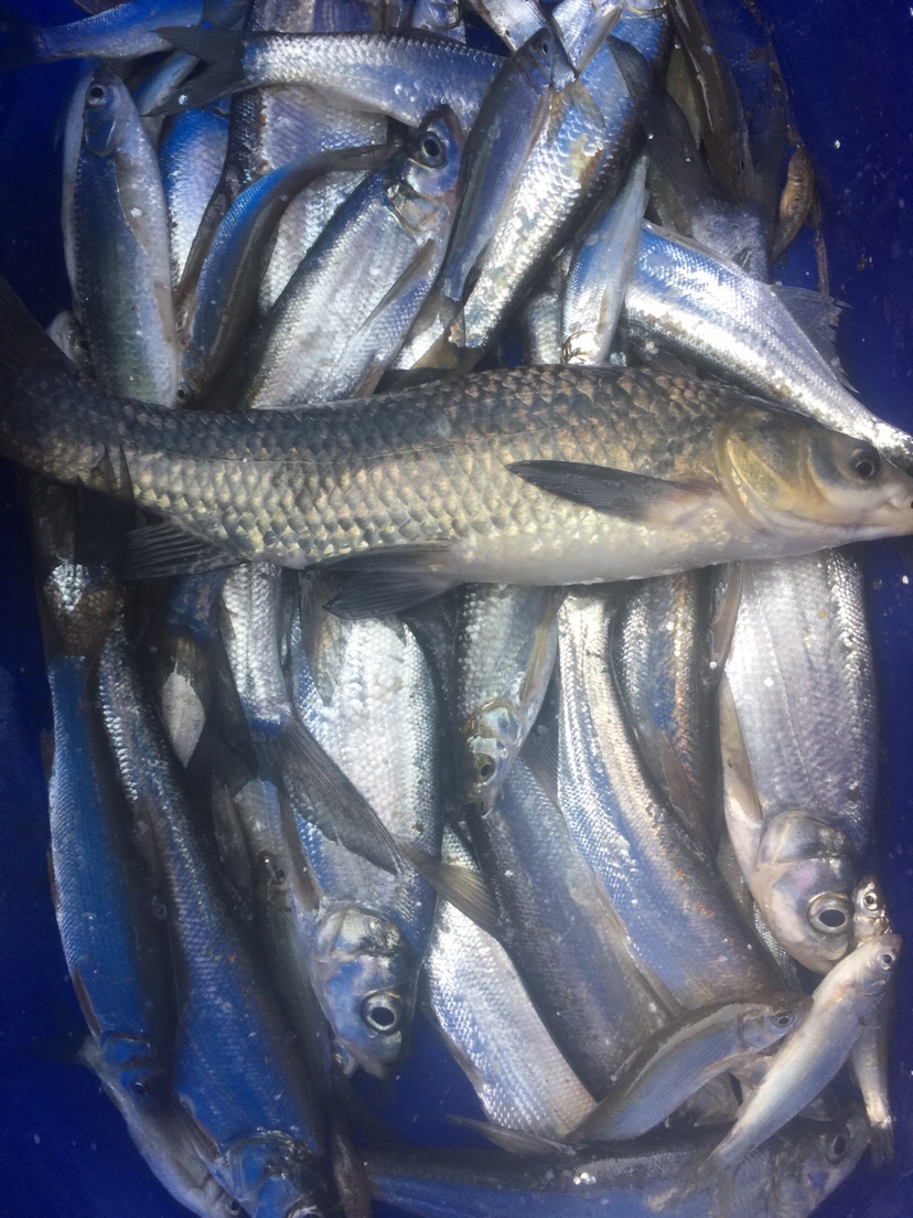 好久未发说说,好久没发过朋友圈的句子