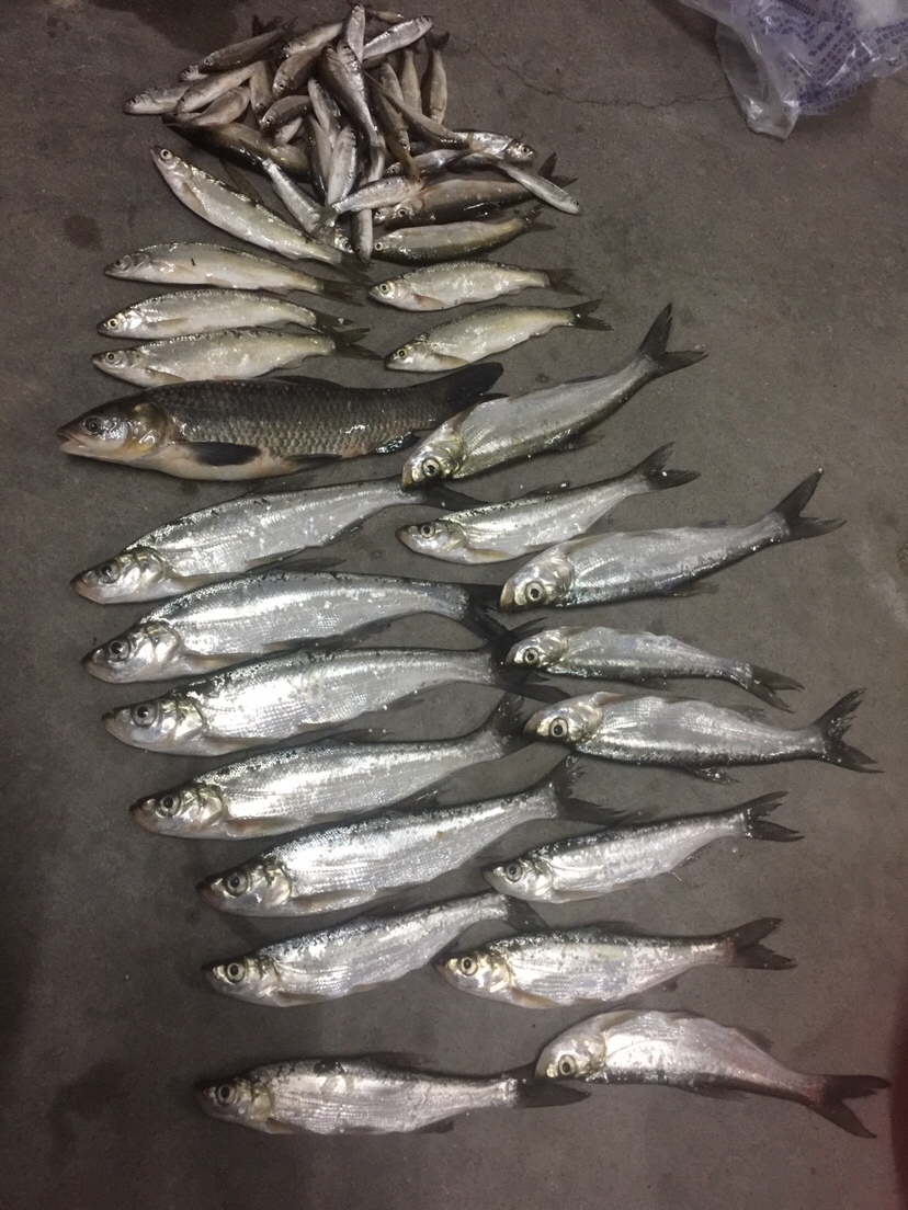 好久未发说说,好久没发过朋友圈的句子