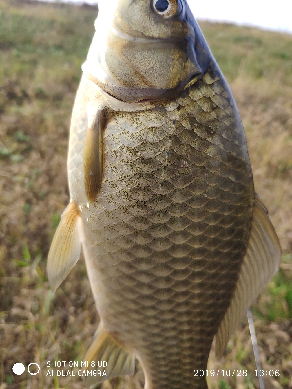和钓友吃吃喝喝好不好,野钓与钓友