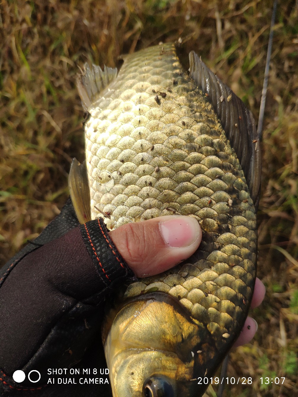 和钓友吃吃喝喝好不好,野钓与钓友