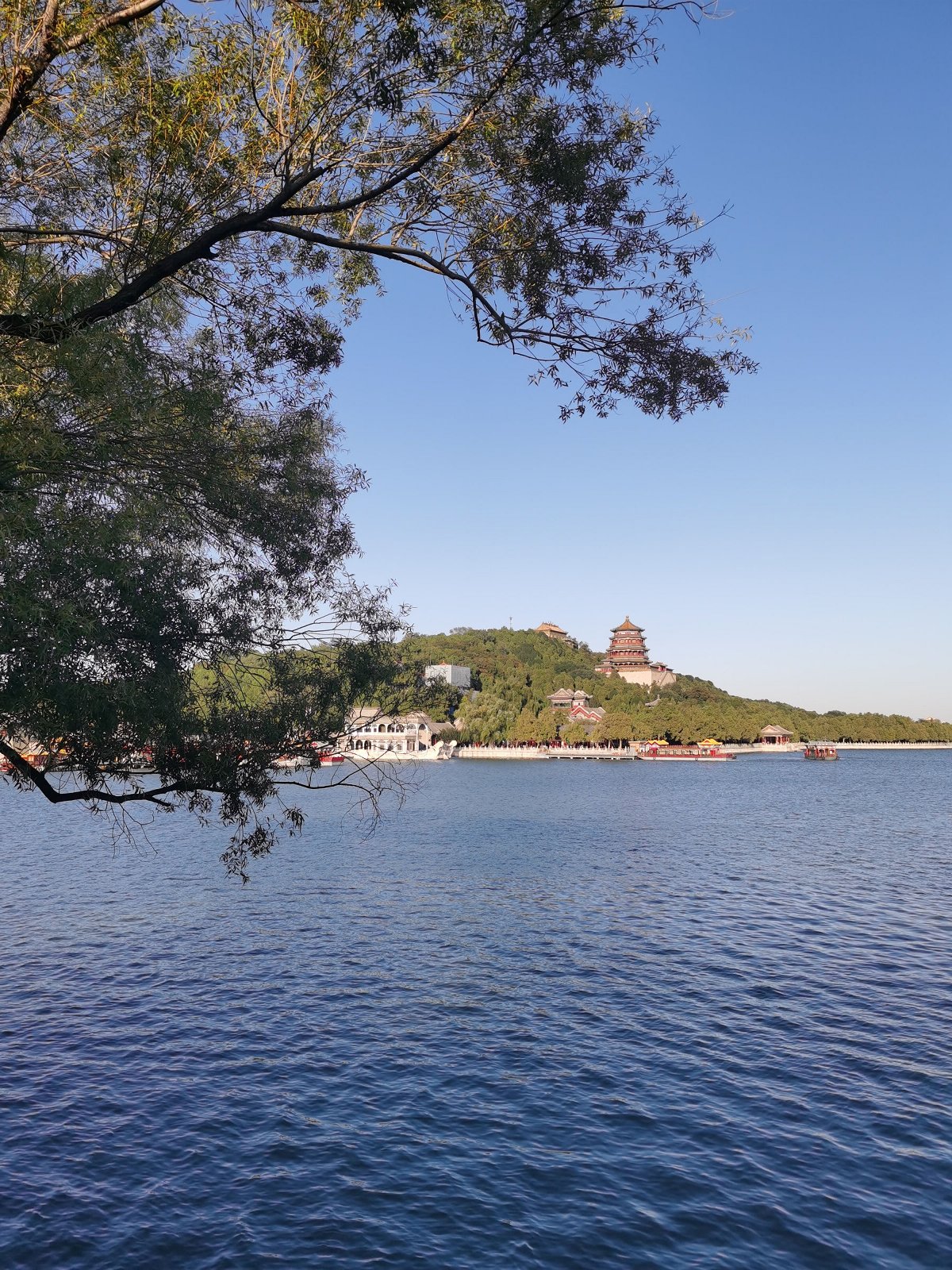 huaweimate30pro摄像头更换,huaweimate30pro后置摄像头不聚焦