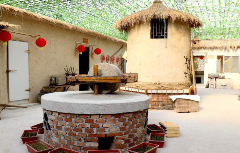 农村赚钱小项目有哪些,农村怎么创业致富的好项目