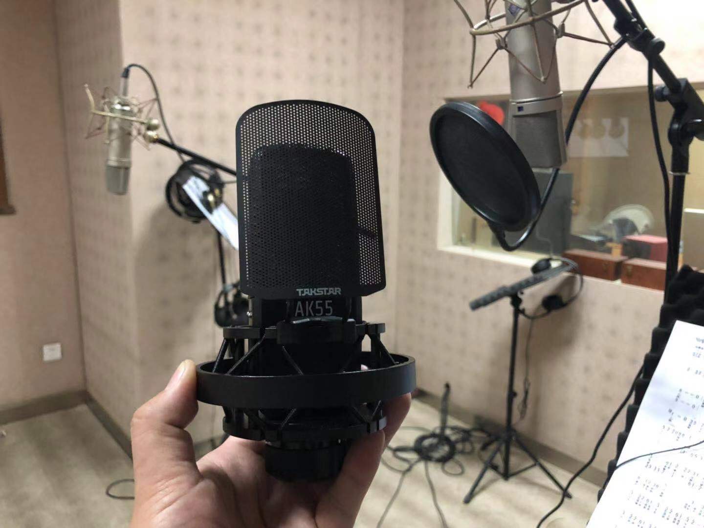 得胜tak45麦克风是电容的吗,得胜tak35电容麦克风