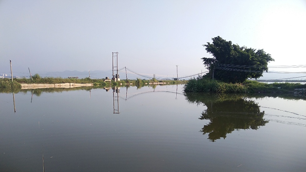 带友渔乐记渔获20斤,钓鱼不能*欢偷**