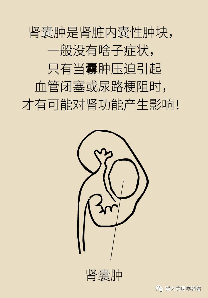 肾虚健康常识,医生科普肾虚