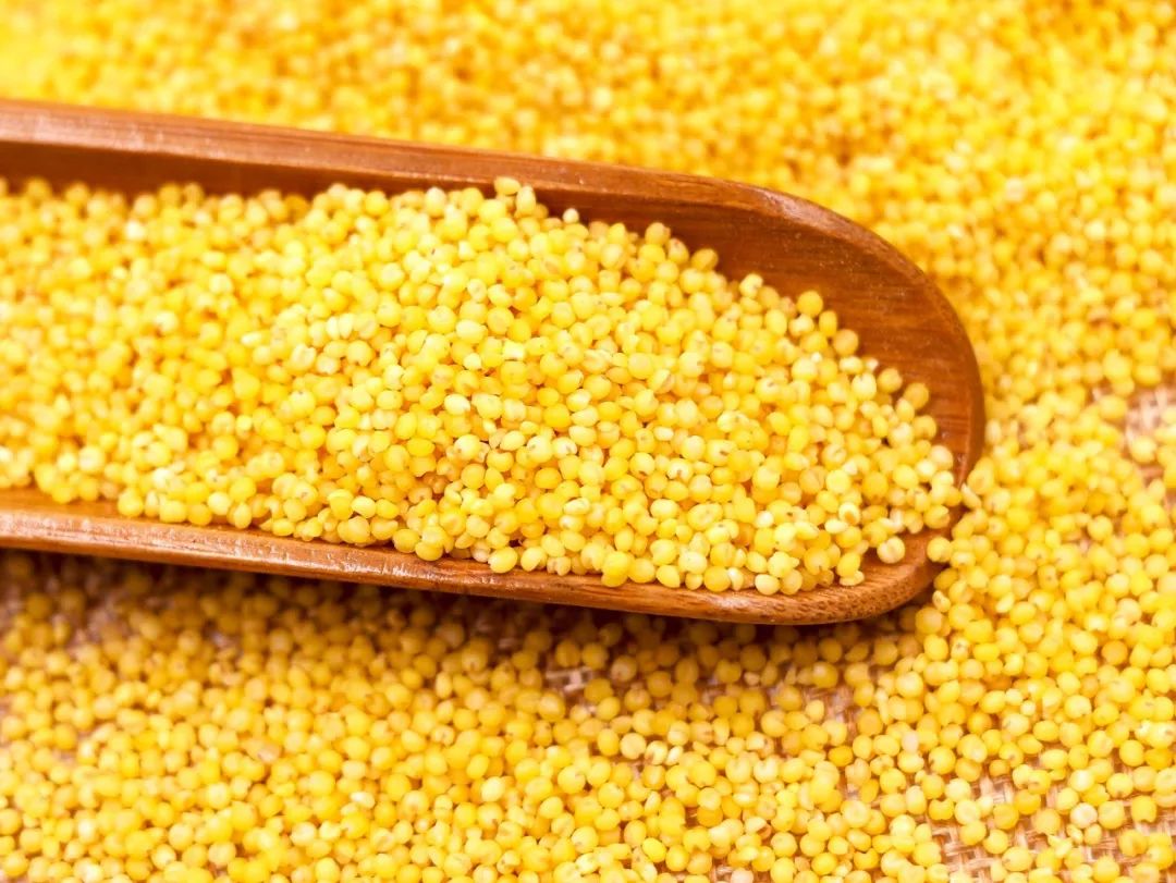 什么样的小米煮粥好喝,米脂小米五谷杂粮粥