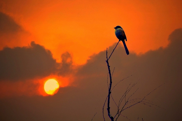 跟着镜头品诗词,跟着镜头感受生活中的美好