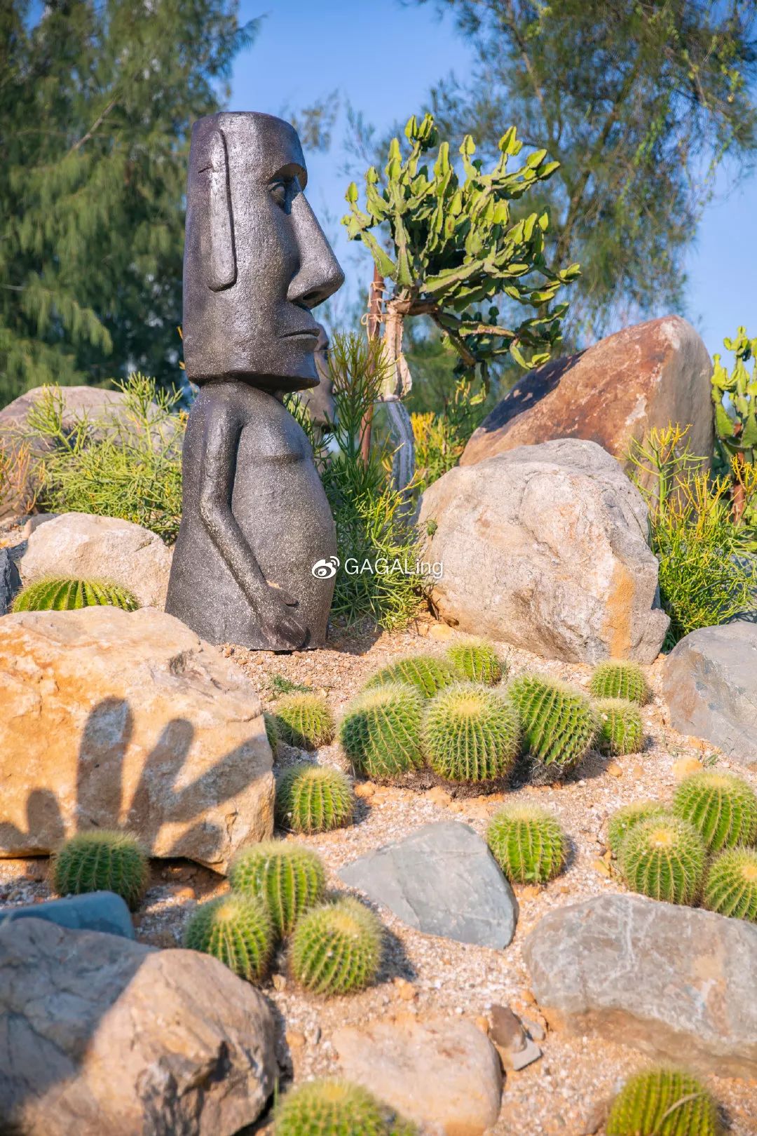 大V推荐|国内少有的黄金沙滩海岸，漳州六鳌游玩必备攻略，拍照小贴士！