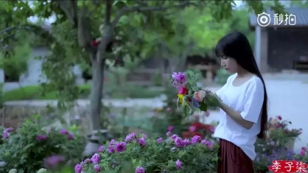 人气最高网红村姑,盘点曾经很火的村姑网红