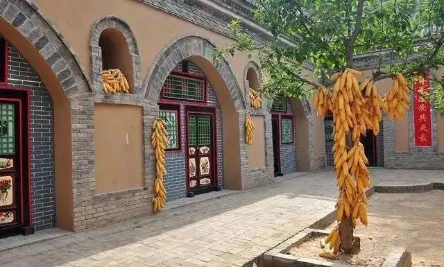 与世隔绝的森林村落,中国最神奇的村庄见树不见房