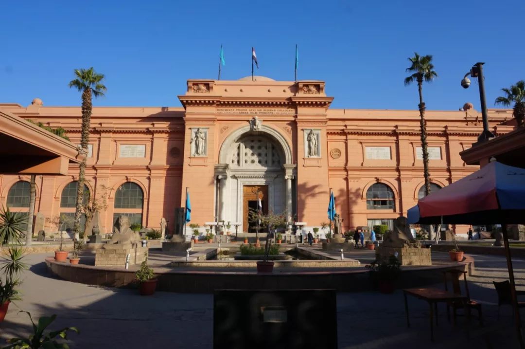 一半海水一半火焰在血液中奔跑,一半海水一半火焰在线阅读