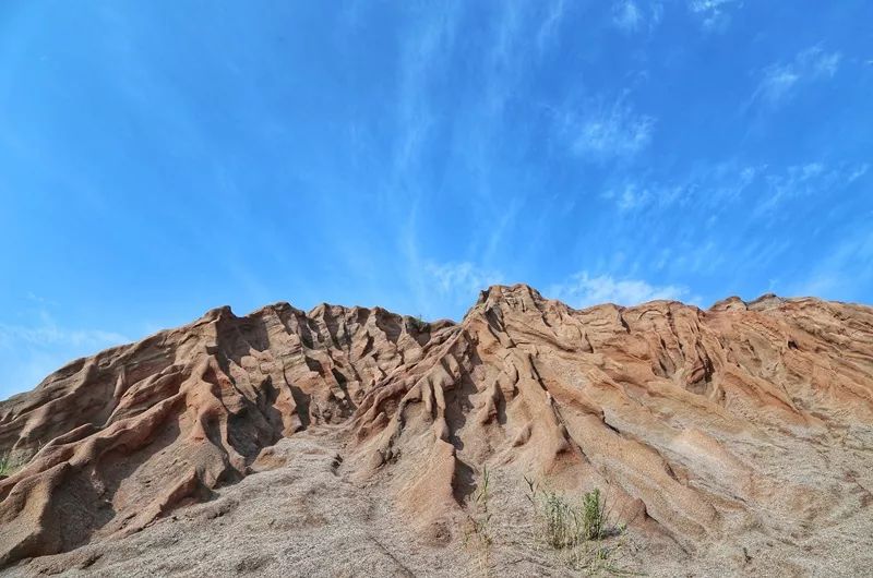 天呐！被南京这些路圈粉！