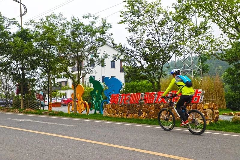 天呐！被南京这些路圈粉！