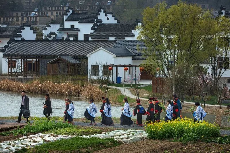 天呐!被南京这些路圈粉!