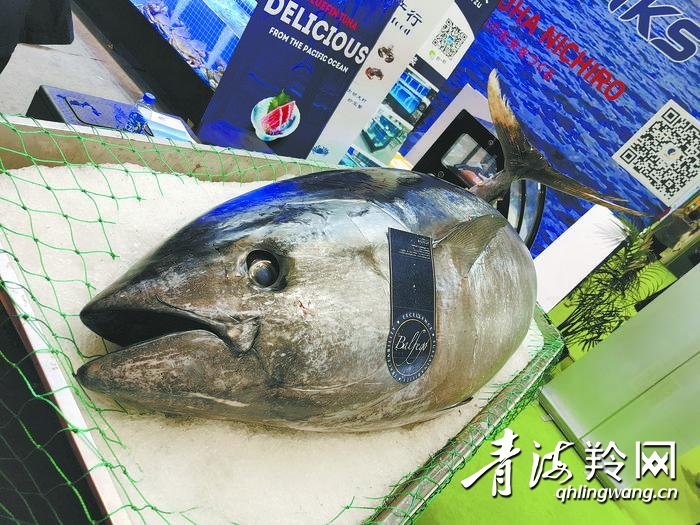 进博馆里，吃遍全球