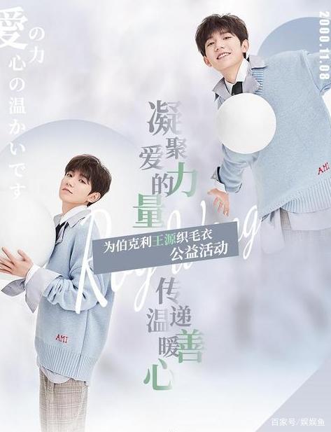 王源的粉丝应援有哪些,王源生日应援上热搜了吗