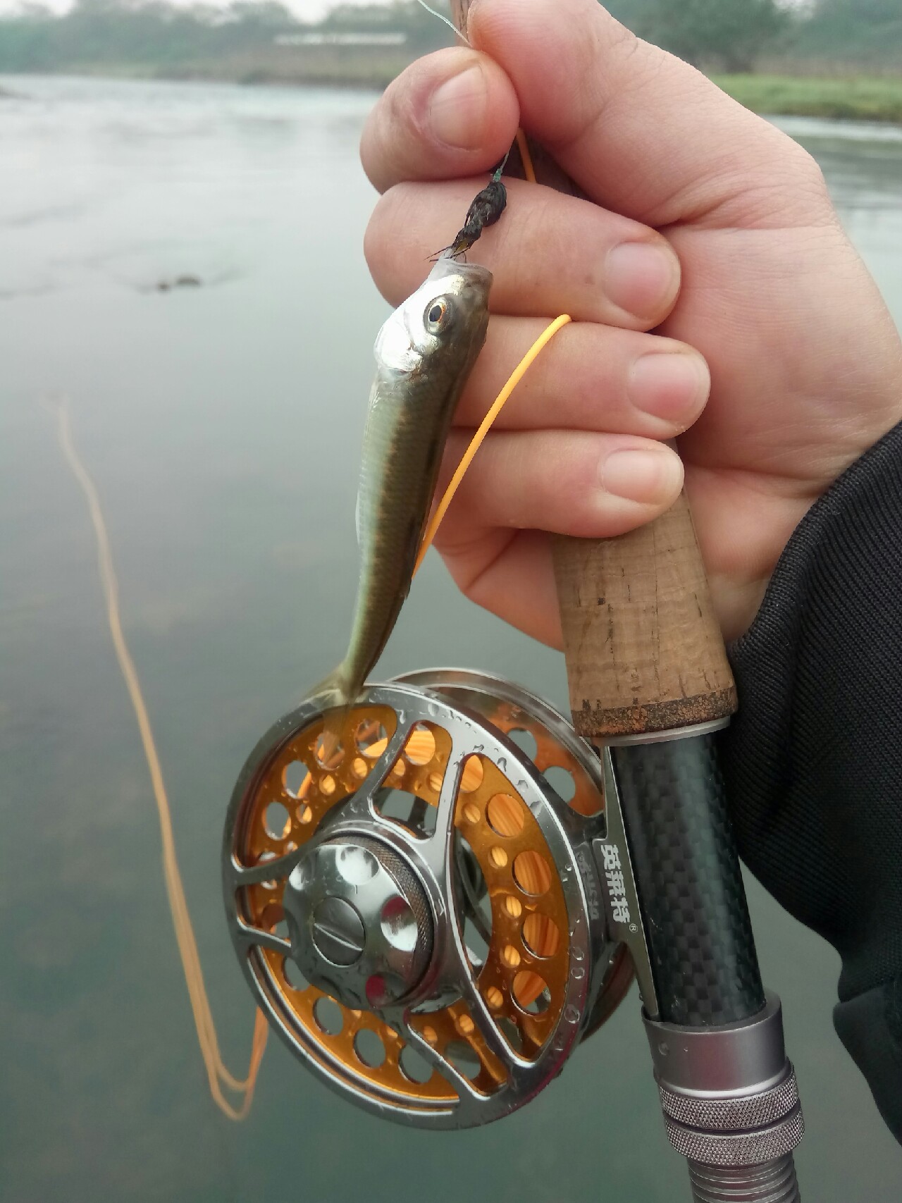 路亚飞蝇钩马口实战,路亚飞蝇钩怎么钓鲤鱼