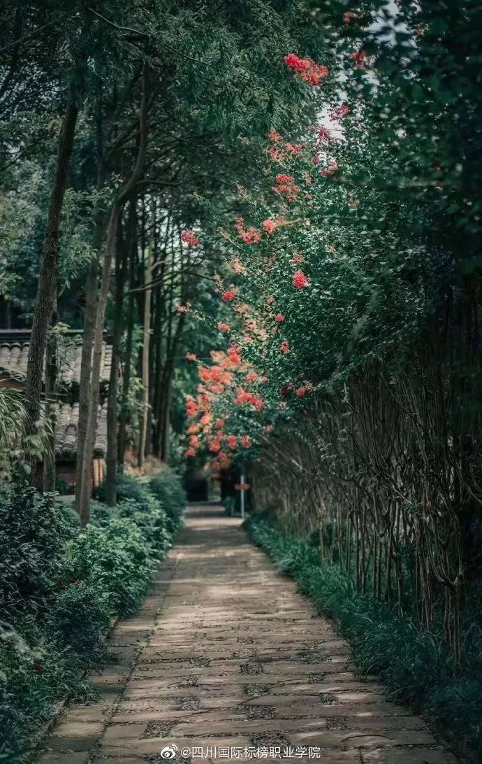 成都最有名的冷知识,成都冷知识