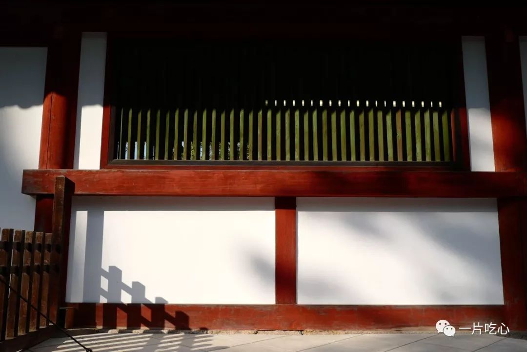 奈良的小鹿,奈良的小鹿最近新消息