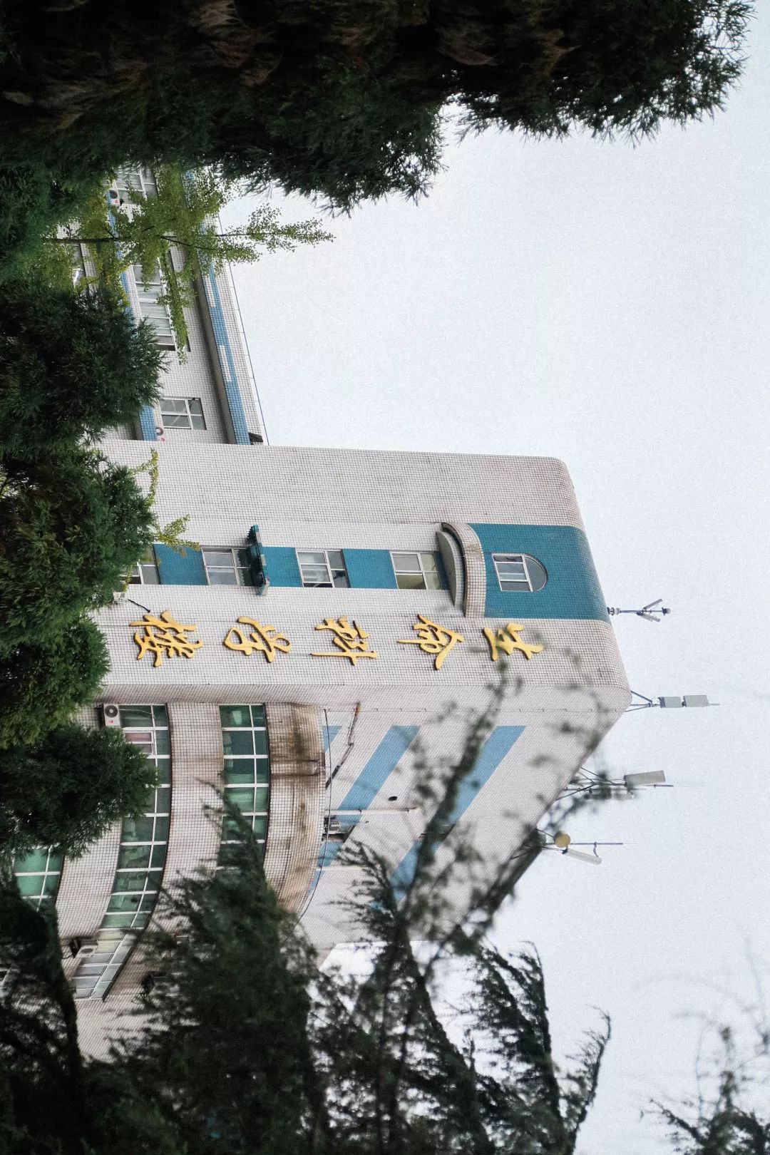 川大望江介绍,川大望江校区