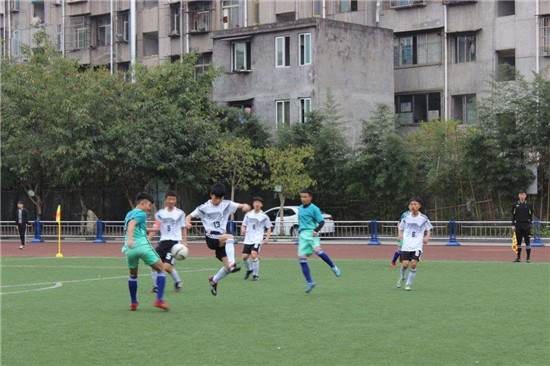 雅安特色活动,雨城区体育
