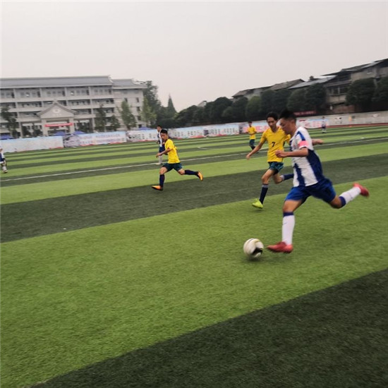 雅安特色活动,雨城区体育