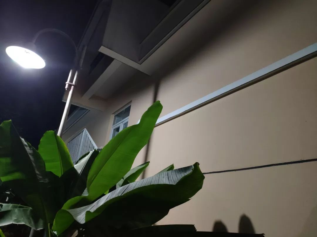 快来解锁南工夜生活，原来大家都在做这些事情......