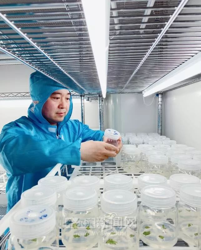 真“治”地有声”!冰城“菜博士”喂土地“喝酸奶”走上央视舞台,成功融资800万