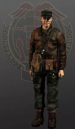 通关无双类游戏,无双通关类游戏