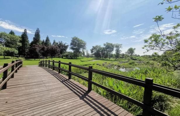 天府中央商务区楼盘,天府中央商务区好楼盘